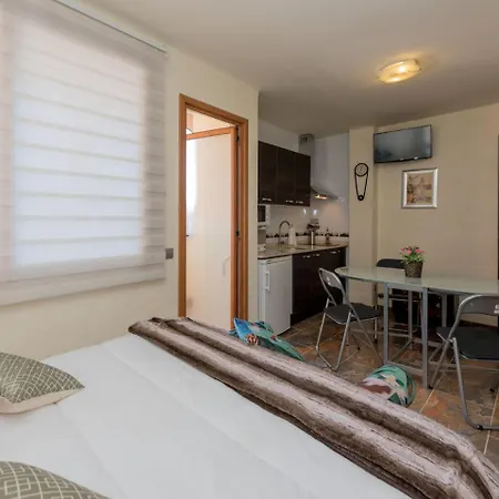 Appartement Roser *